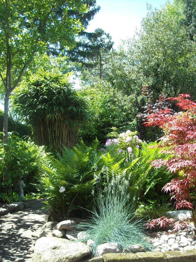 أنسْخيدي Logies Het Tuinhuisje المظهر الخارجي الصورة